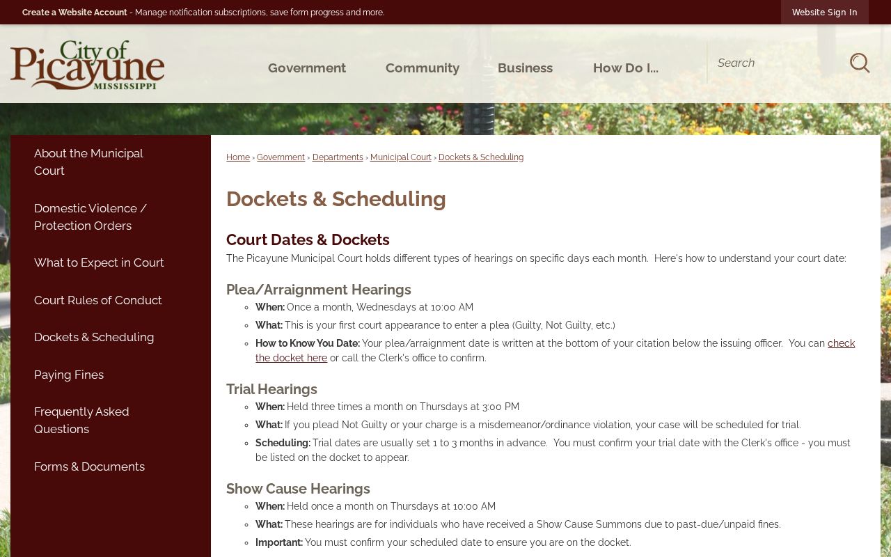 Picayune docket search instructions