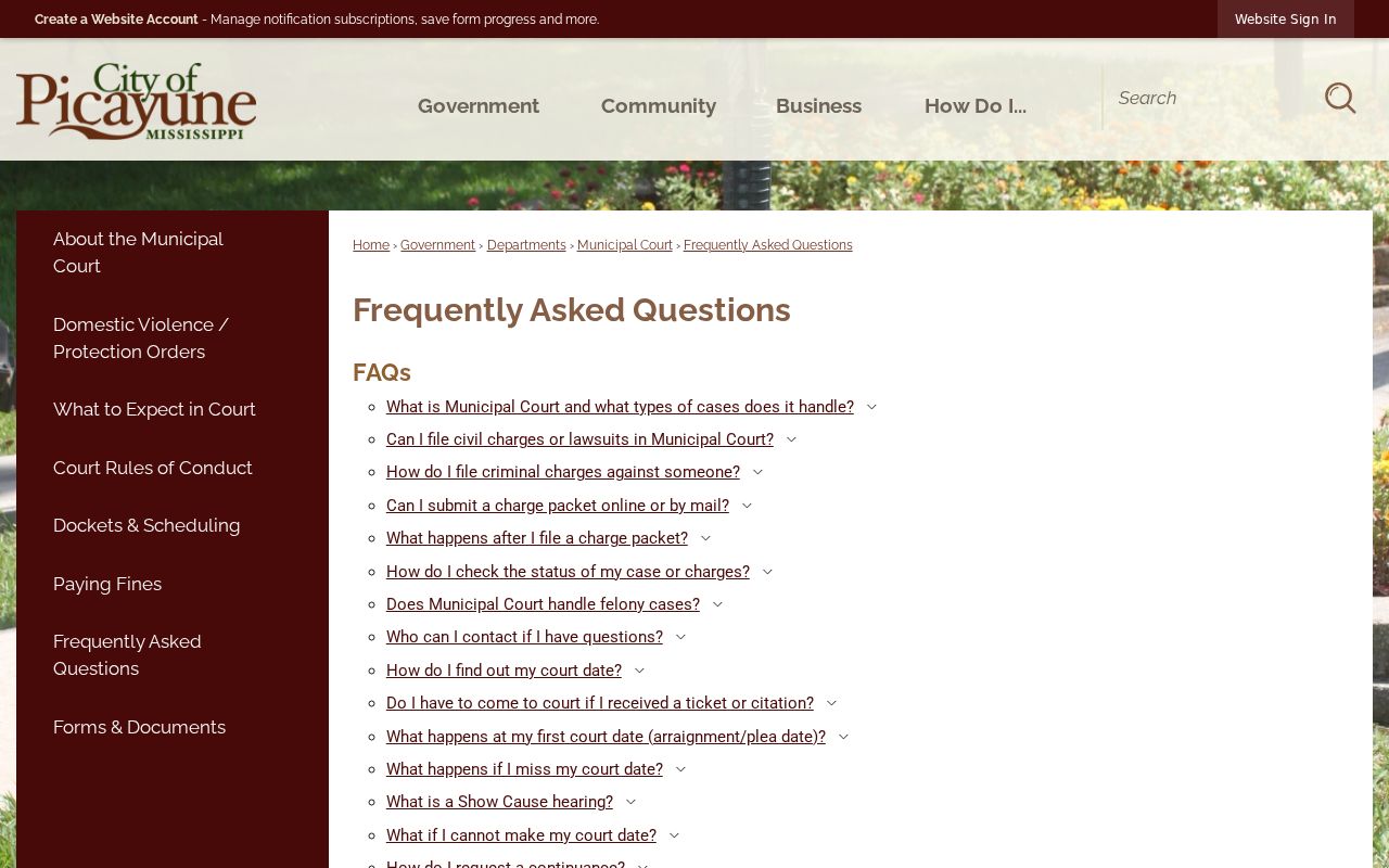 Picayune court FAQ headings